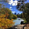 Here's Your 2017 Guide To Fall Foliage In NYC